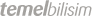 Temel Bilişim